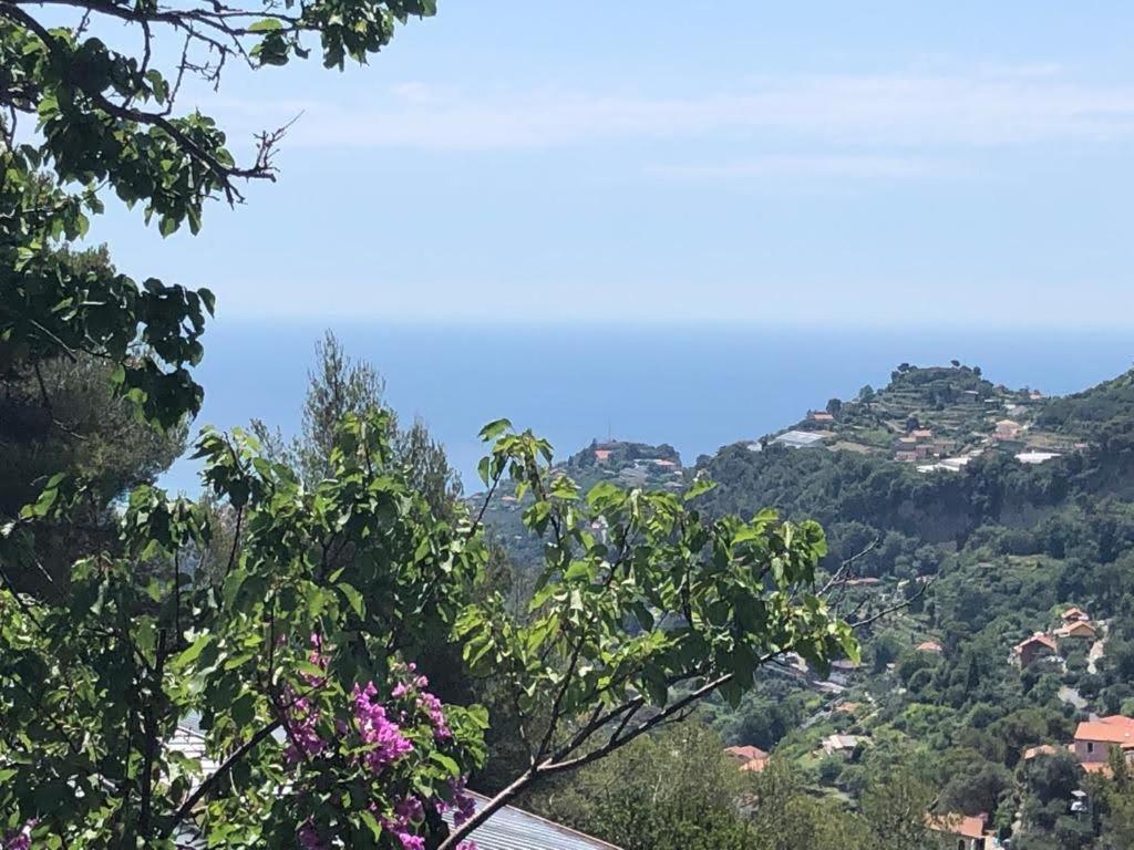 Agriturismo Soleada Вентимиля Екстериор снимка